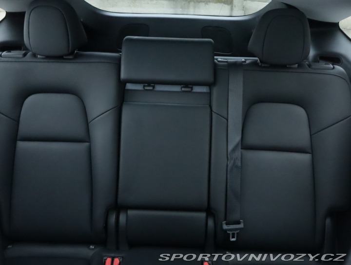 Tesla Model Y Performance 79kWh 2022