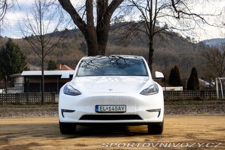 Tesla Model Y Long Range Dual Motor / 2022