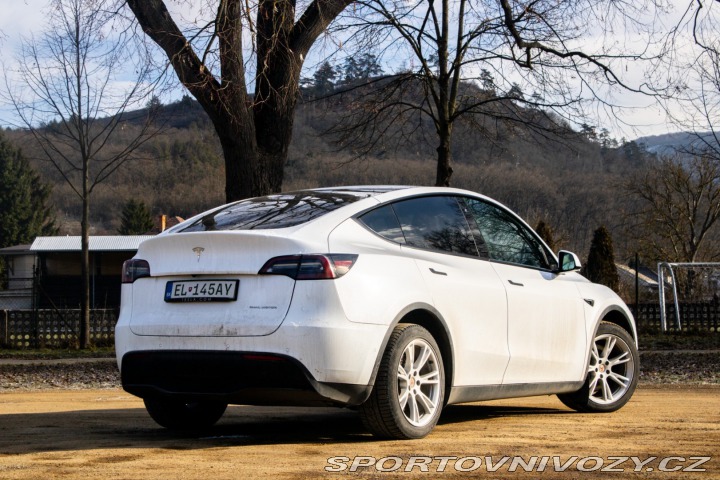 Tesla Model Y Long Range Dual Motor / 2022