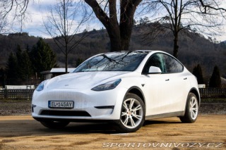 Tesla Model Y Long Range Dual Motor / 2022