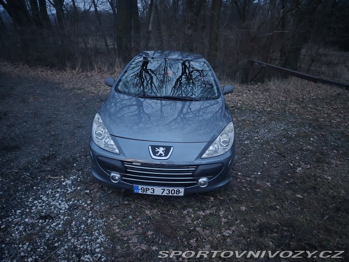 Peugeot 307 CC 307 cc 2006