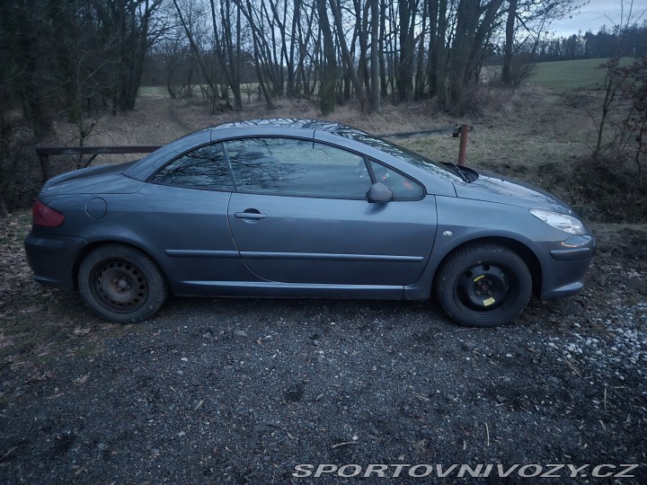 Peugeot 307 CC 307 cc 2006