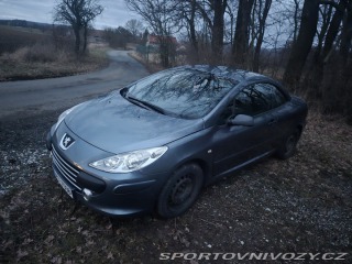Peugeot 307 CC 307 cc 2006