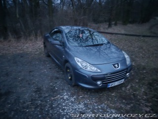 Peugeot 307 CC 307 cc 2006