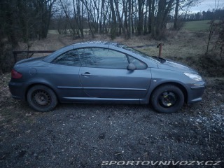 Peugeot 307 CC 307 cc 2006