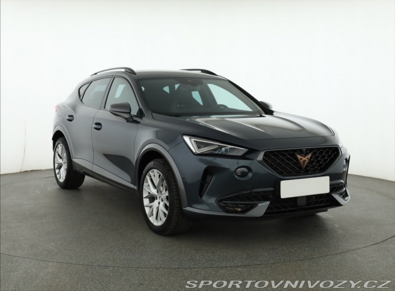 Cupra Formentor 2.0 TSI VZ