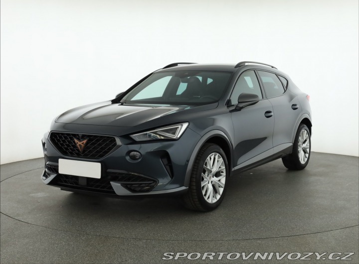 Cupra Formentor 2.0 TSI VZ 2023