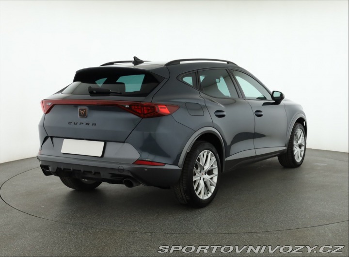 Cupra Formentor 2.0 TSI VZ 2023