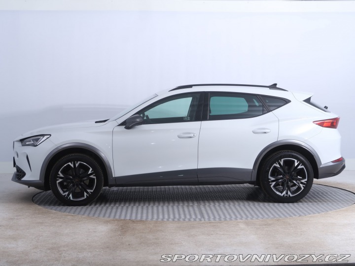 Cupra Formentor Business 2.0 TDI 2024