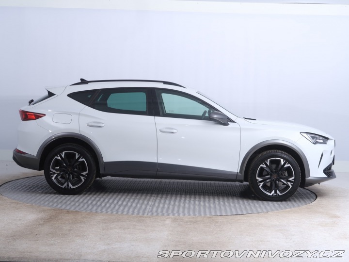 Cupra Formentor Business 2.0 TDI 2024