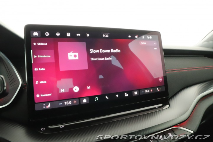 Škoda Octavia RS RS RS 2.0 TSI 2024