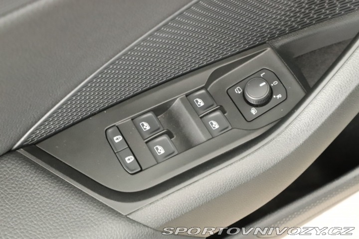 Škoda Octavia RS RS RS 2.0 TSI 2024