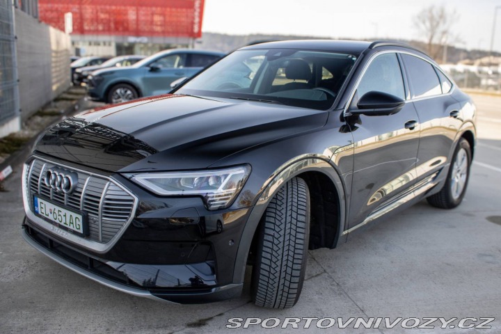 Audi Ostatní modely E-tron  50 quattro Advanced, 230 2022