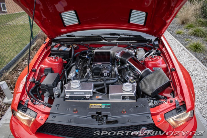 Ford Mustang GT 500 Shelby SUPER SNAK 2007