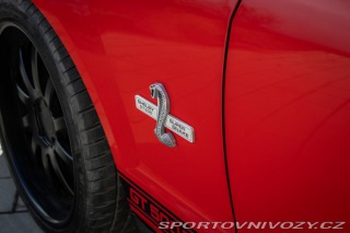 Ford Mustang GT 500 Shelby SUPER SNAK 2007