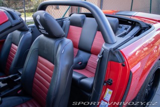 Ford Mustang GT 500 Shelby SUPER SNAK 2007