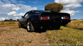 Pontiac Firebird Esprit 6.6 V8 Hydra-Matic 1970