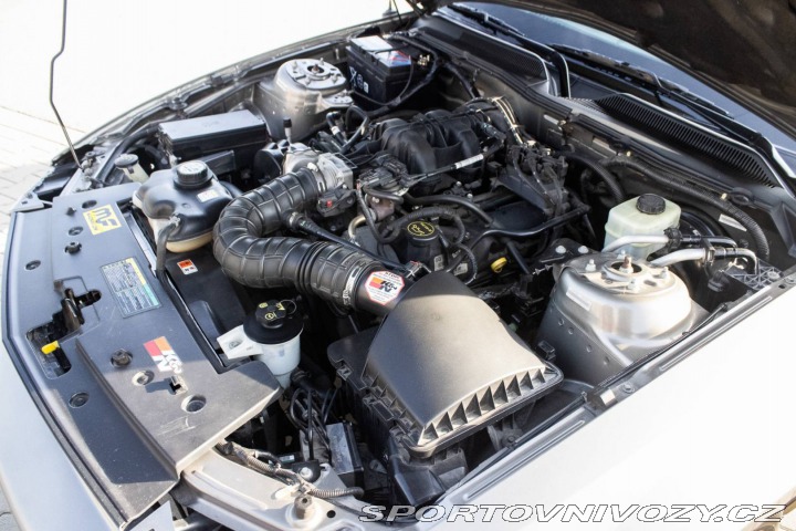 Ford Mustang 155kW (2004) / AJ NA SPL 2004
