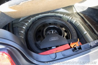 Ford Mustang 155kW (2004) / AJ NA SPL 2004