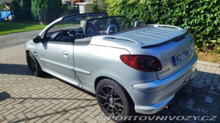 Peugeot 206 GTi Quiksilver 2005