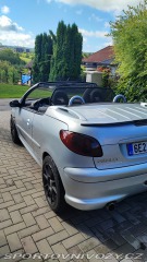 Peugeot 206 GTi Quiksilver 2005