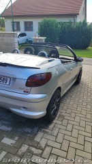 Peugeot 206 GTi Quiksilver 2005