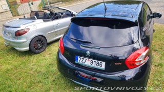 Peugeot 206 GTi Quiksilver 2005