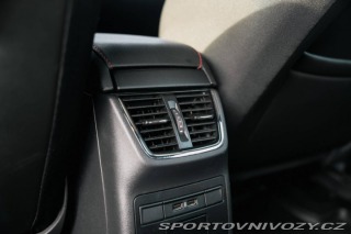 Škoda Octavia RS RS 2.0 TDi  /AJ NA SPLÁT 2017