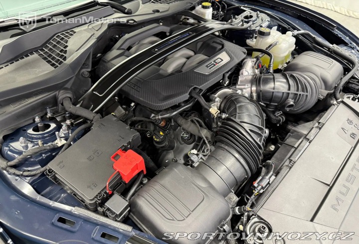 Ford Mustang Dark Horse Recaro Manual 2024