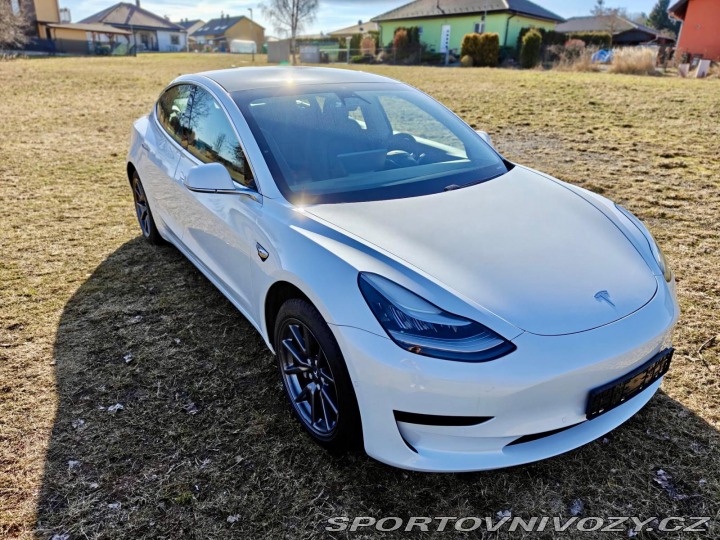 Tesla Model 3  2019