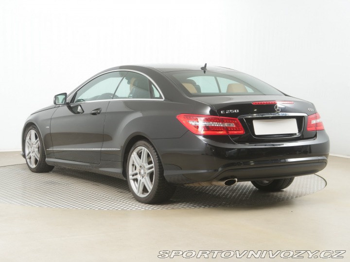 Mercedes-Benz E E 250 2010