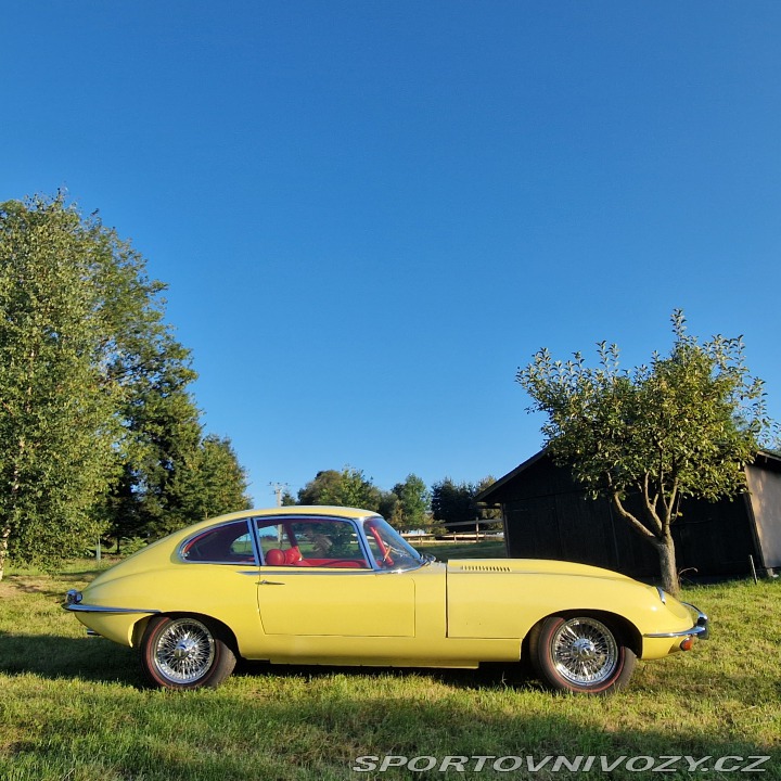 Jaguar E-Type Jaguar E-Type 1 Série 4,2 1968