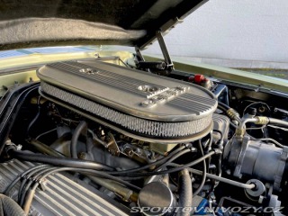 Ford Mustang Shelby GT500 1967