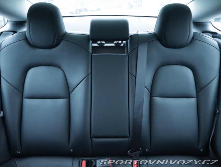 Tesla Model 3 Std Range Plus LFP 2020