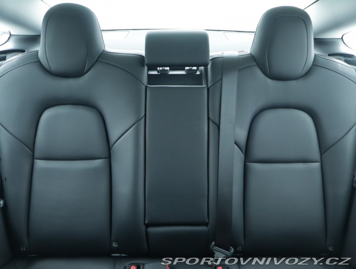 Tesla Model 3 Performance 82kWh 2020