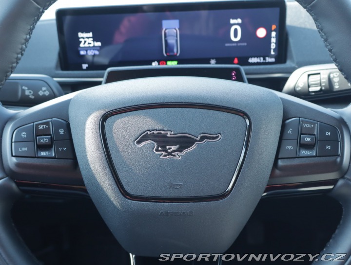 Ford Mustang Mach-E  Standard Range RW 2024