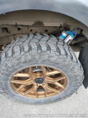 Ford Ostatní modely Ford F-Series Raptor 150 2017