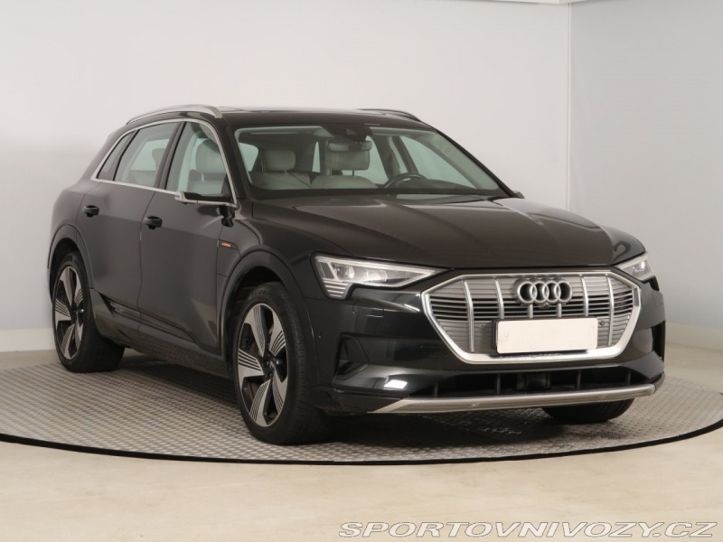 Audi Ostatní modely e-tron  e-tron 55 quattro