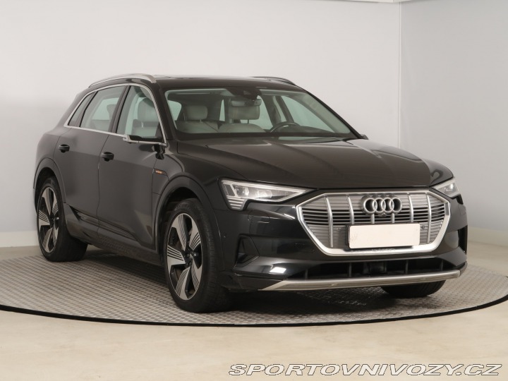 Audi Ostatní modely e-tron  e-tron 55 quattro 2020