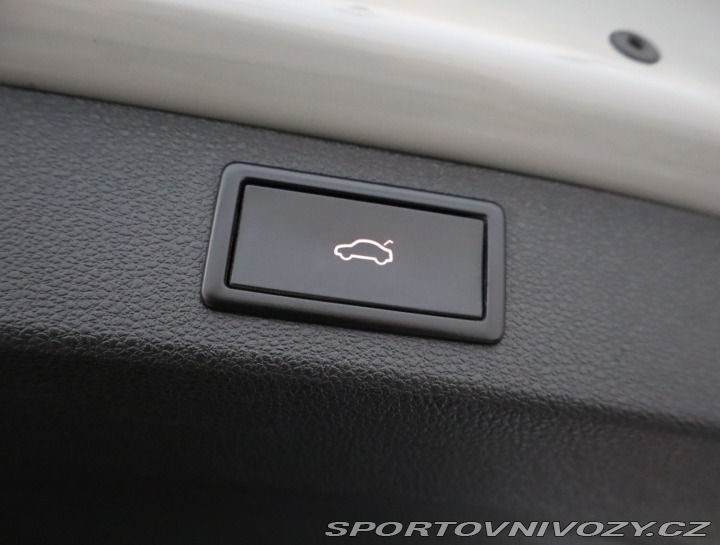 Škoda Kodiaq RS RS RS 2.0 TSI 2023