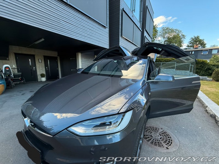 Tesla Model X 100D 2019