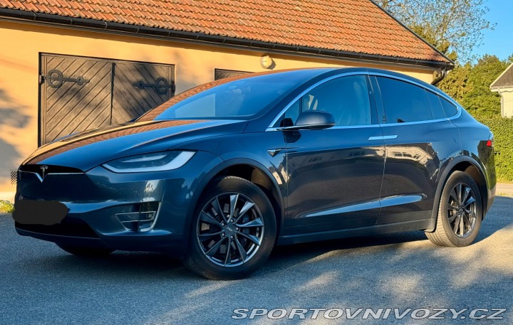 Tesla Model X 100D 2019