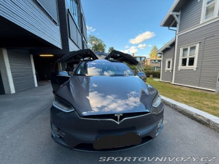Tesla Model X 100D 2019