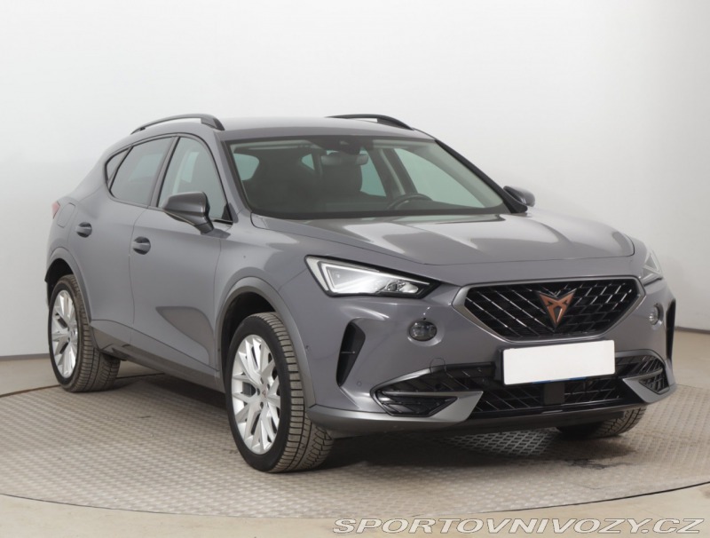 Cupra Formentor 2.0 TSI 4Drive