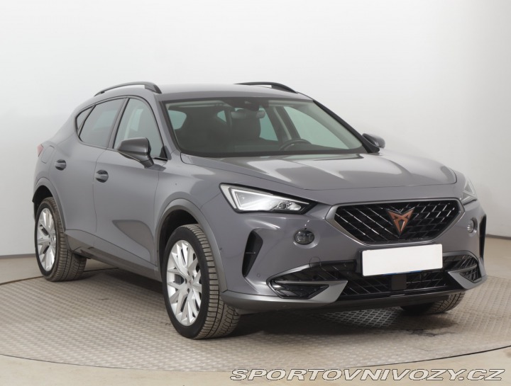 Cupra Formentor 2.0 TSI 4Drive 2022