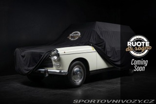 Peugeot  404 STATION WAGON