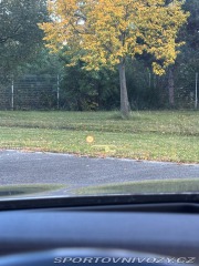 BMW 5 3,0   Touring xDrive 2017