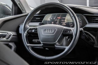 Audi Ostatní modely E-tron  50 Quattro, 230kW, AT / 2019