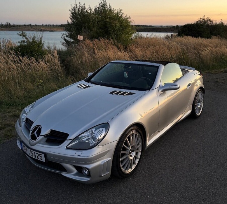 Mercedes-Benz SLK 55 Amg 362 koni