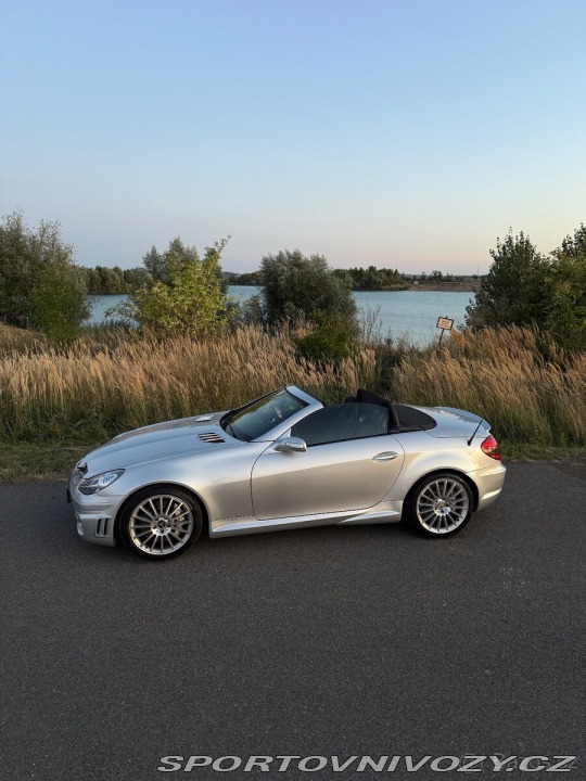 Mercedes-Benz SLK 55 Amg 362 koni 2006